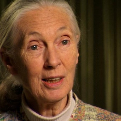 An Interview with Jane Goodall